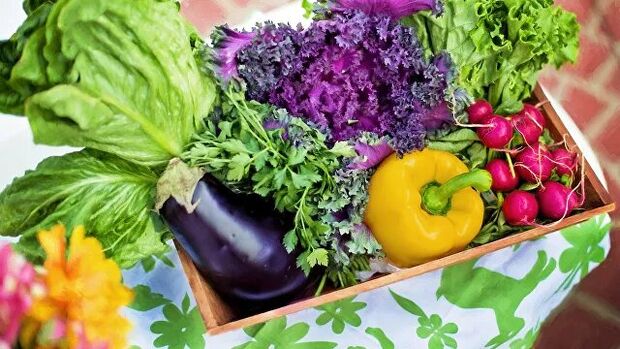 zelenina a zelenina v strave ducanskej stravy